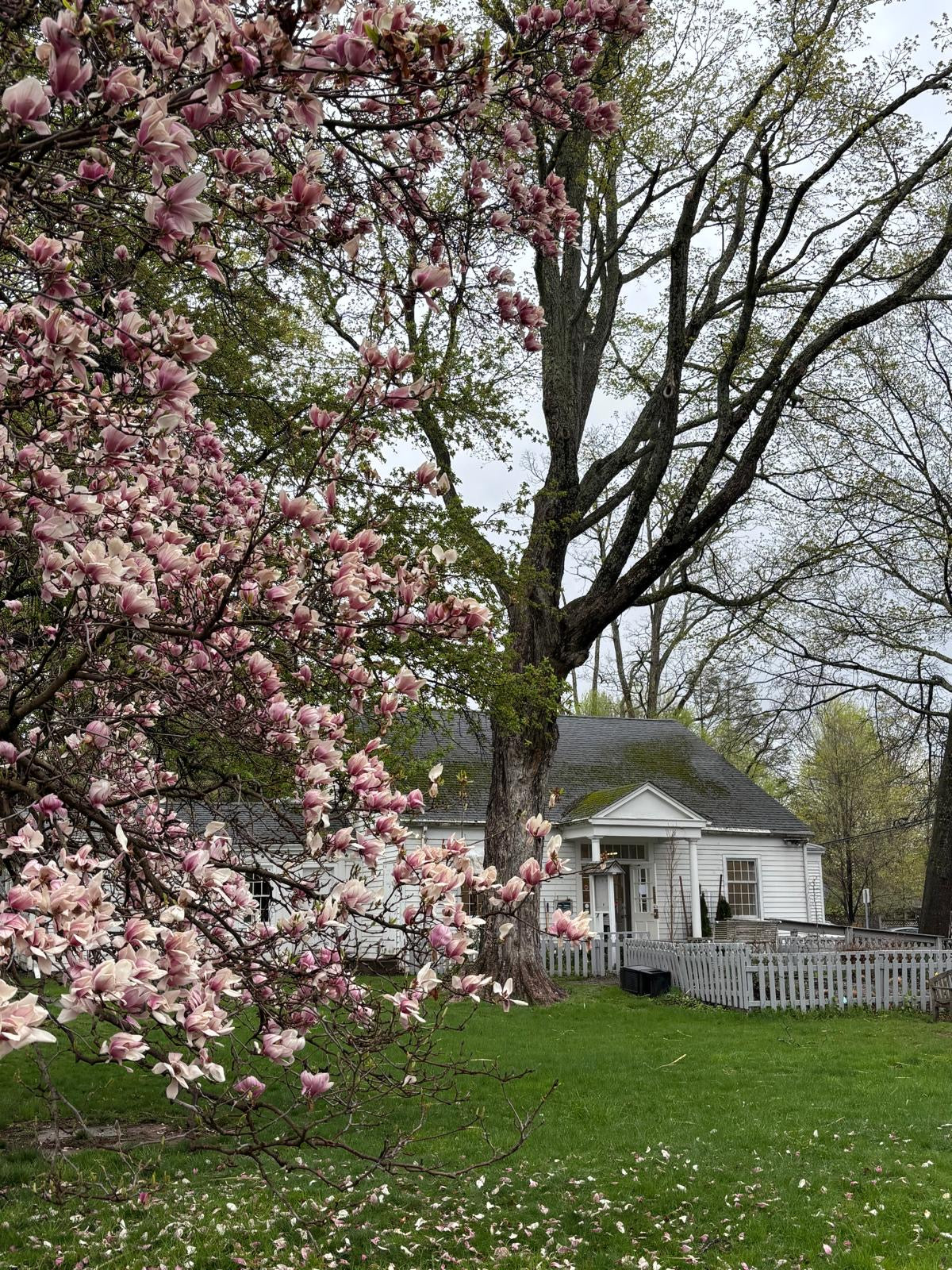 Something Old, Something New: Project Regeneration Takes Its First Steps