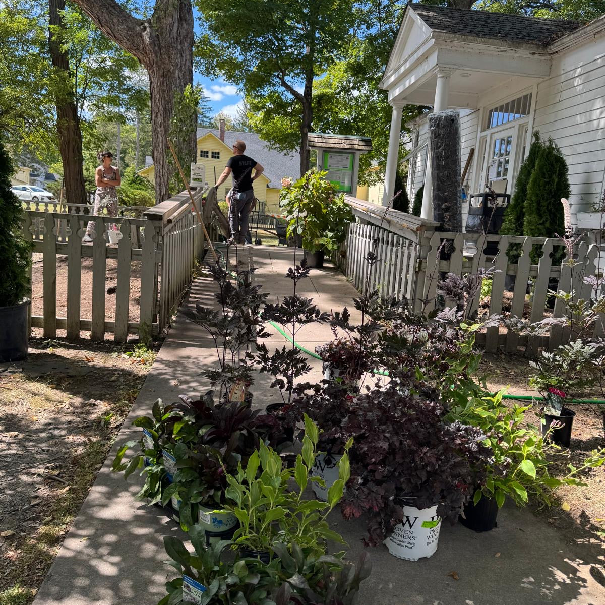 Outdoor setting with plants on a sidewalk, people in the background, and a house.